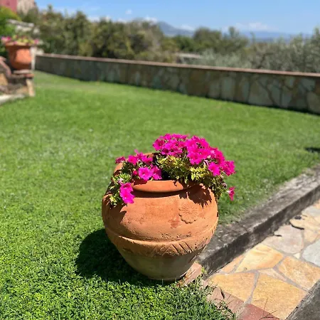 Country house Masia Viver - Olive Oil Tourism