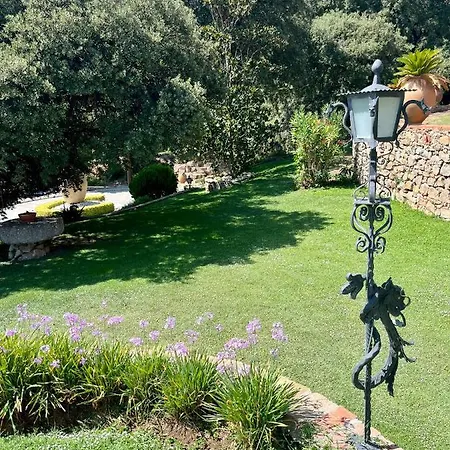 Masia Viver - Olive Oil Tourism *