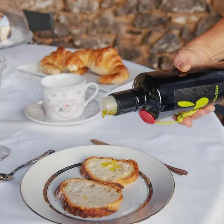Masia Viver - Olive Oil Tourism Country house