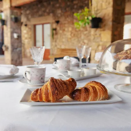 Country house Masia Viver - Olive Oil Tourism *
