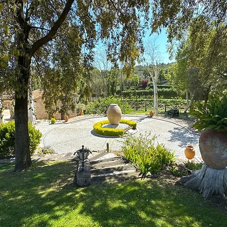 Masia Viver - Olive Oil Tourism *