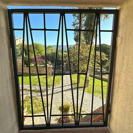 Masia Viver - Olive Oil Tourism *