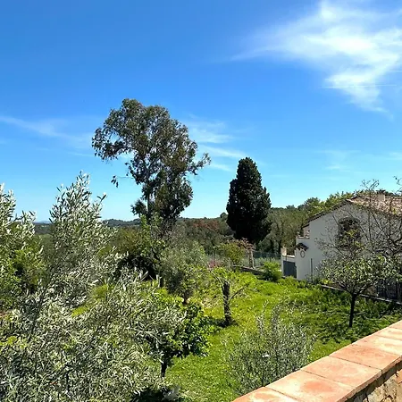 Masia Viver - Olive Oil Tourism 乡村民宿 *