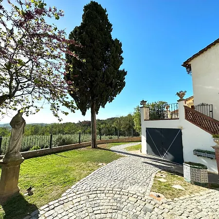 Masia Viver - Olive Oil Tourism *