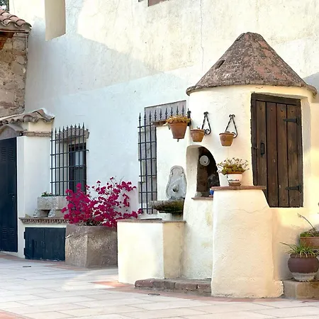 乡村民宿 Masia Viver - Olive Oil Tourism