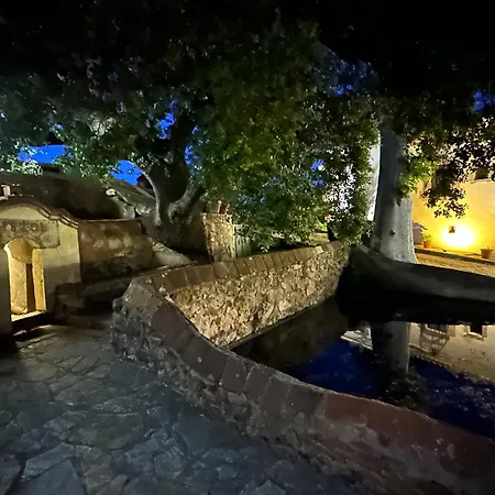 Masia Viver - Olive Oil Tourism *