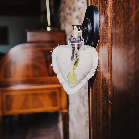 Country house Masia Viver - Olive Oil Tourism