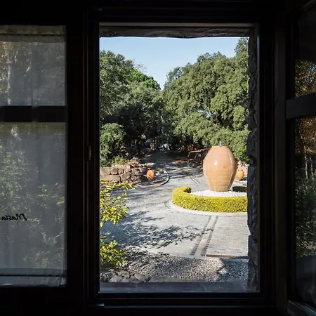 Masia Viver - Olive Oil Tourism Country house Bigues I Riells